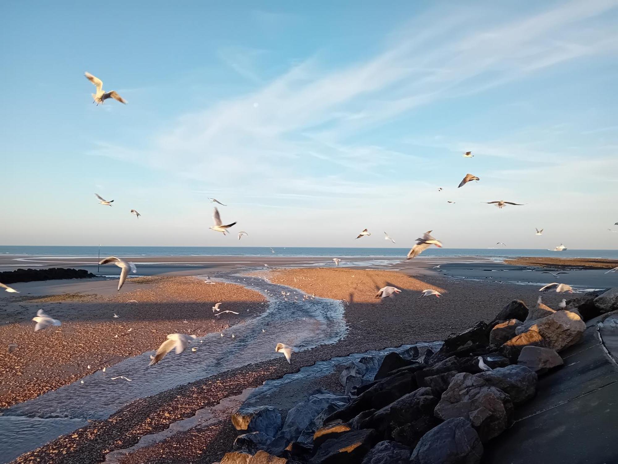 Thalassa Audresselles Zewnętrze zdjęcie